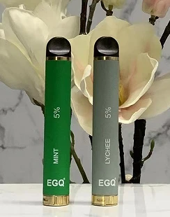 Hot 800 Puffs Disposable E Cig