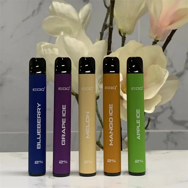 Trendy Disposable E-Cigarettes Vape With 600 Puffs